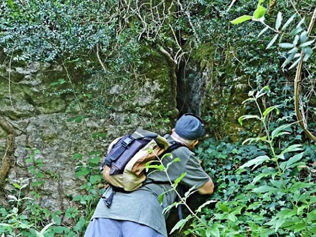Photographie de FEBRES, FONT DE LES