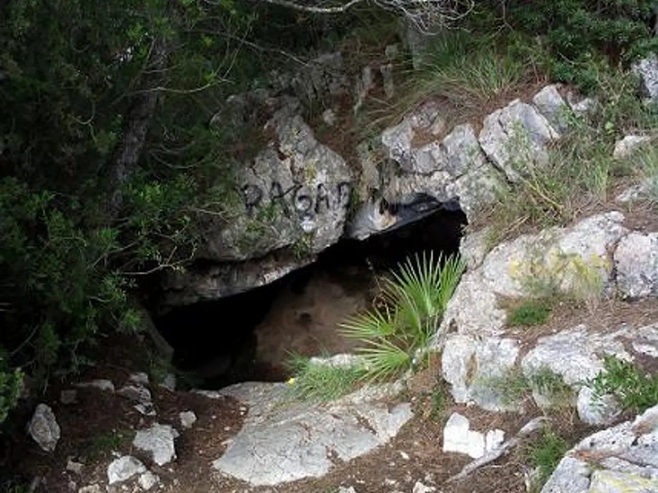 Fotografía de SANT LLORENÇ, COVA DE