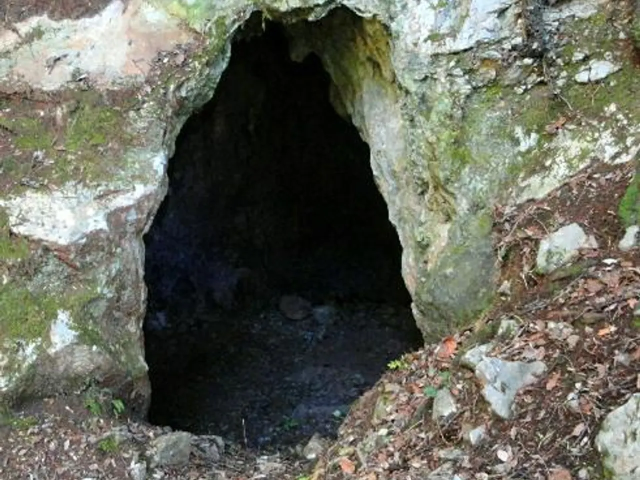 Photographie de ESCALES, TUTA D'