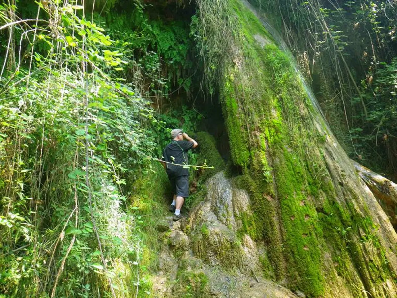 Photographie de FONT DELS CAPELLANS, COVA DE LA