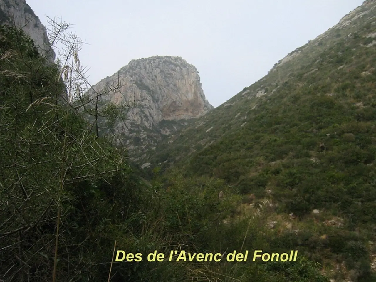Fotografía de FONOLL, AVENC DEL