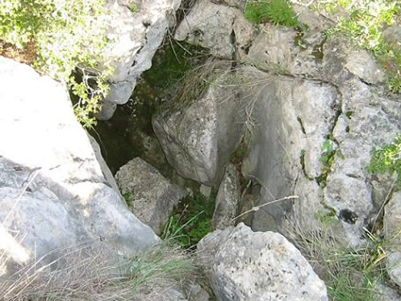 Fotografia de ARANYES NEGRES, AVENC DE LES