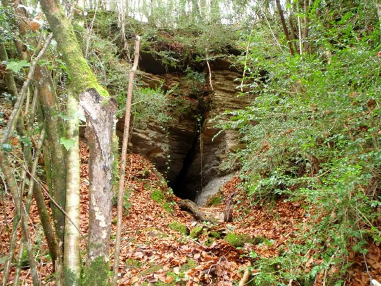 Fotografia de CODOLOSA, COVA