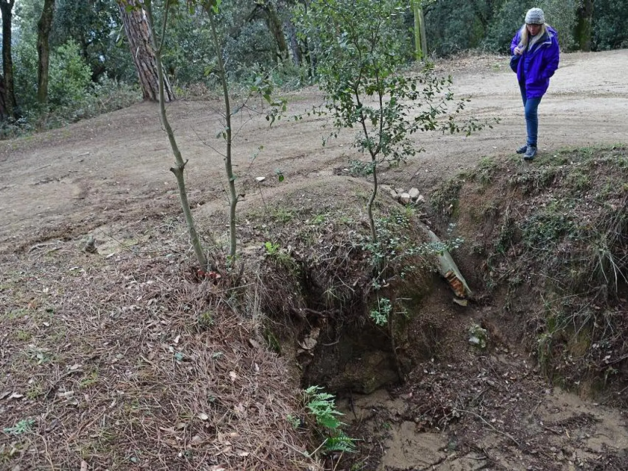 Fotografía de PONTET,  COVA DEL