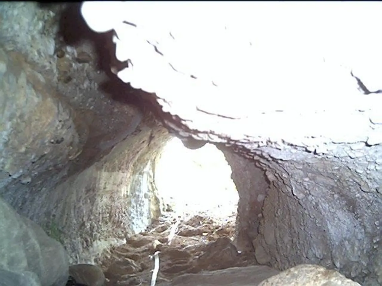 Fotografía de REBOLLEDA, COVA DE LA