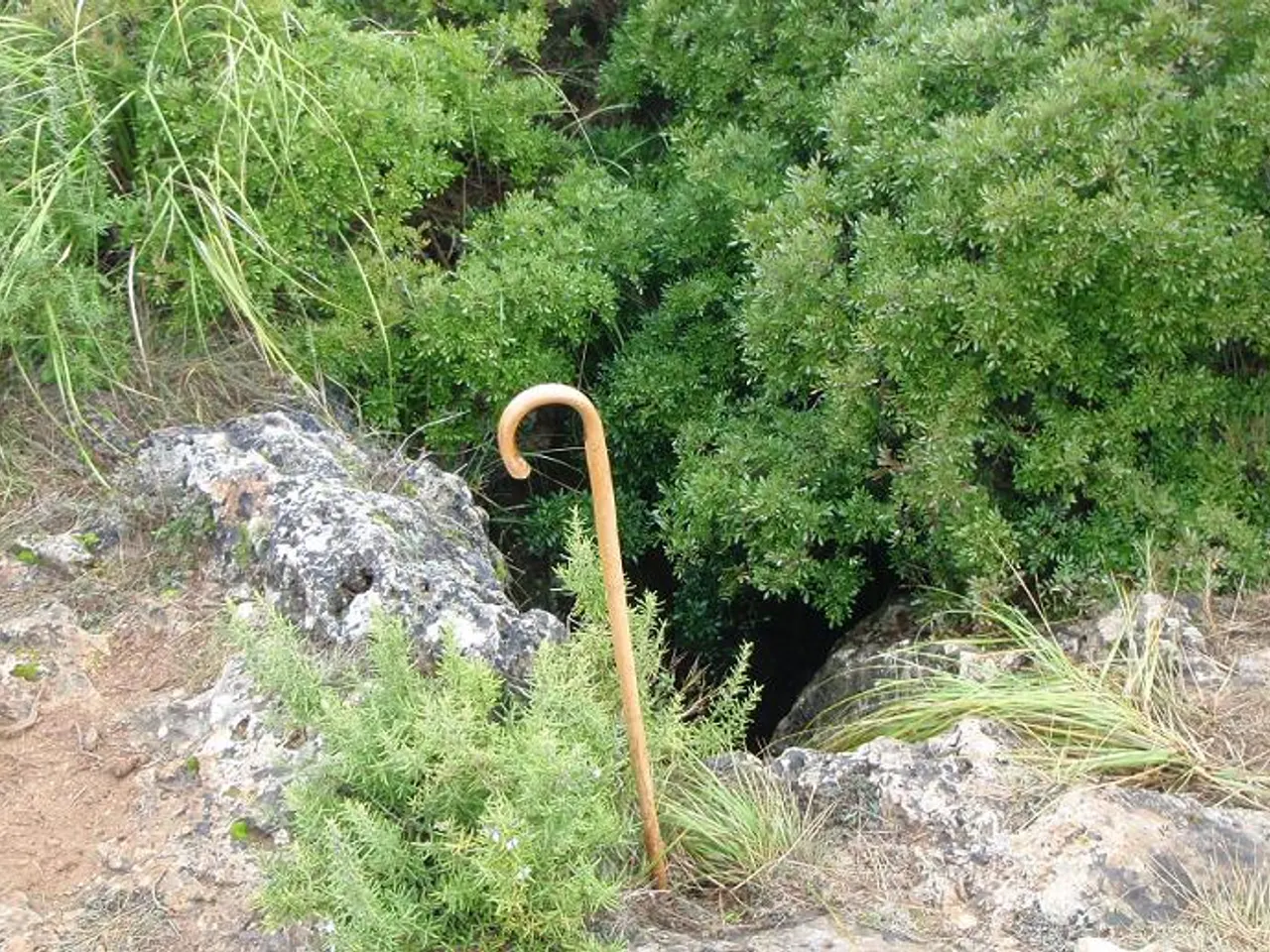 Fotografía de PUIGMOLTÓ,  AVENC DE