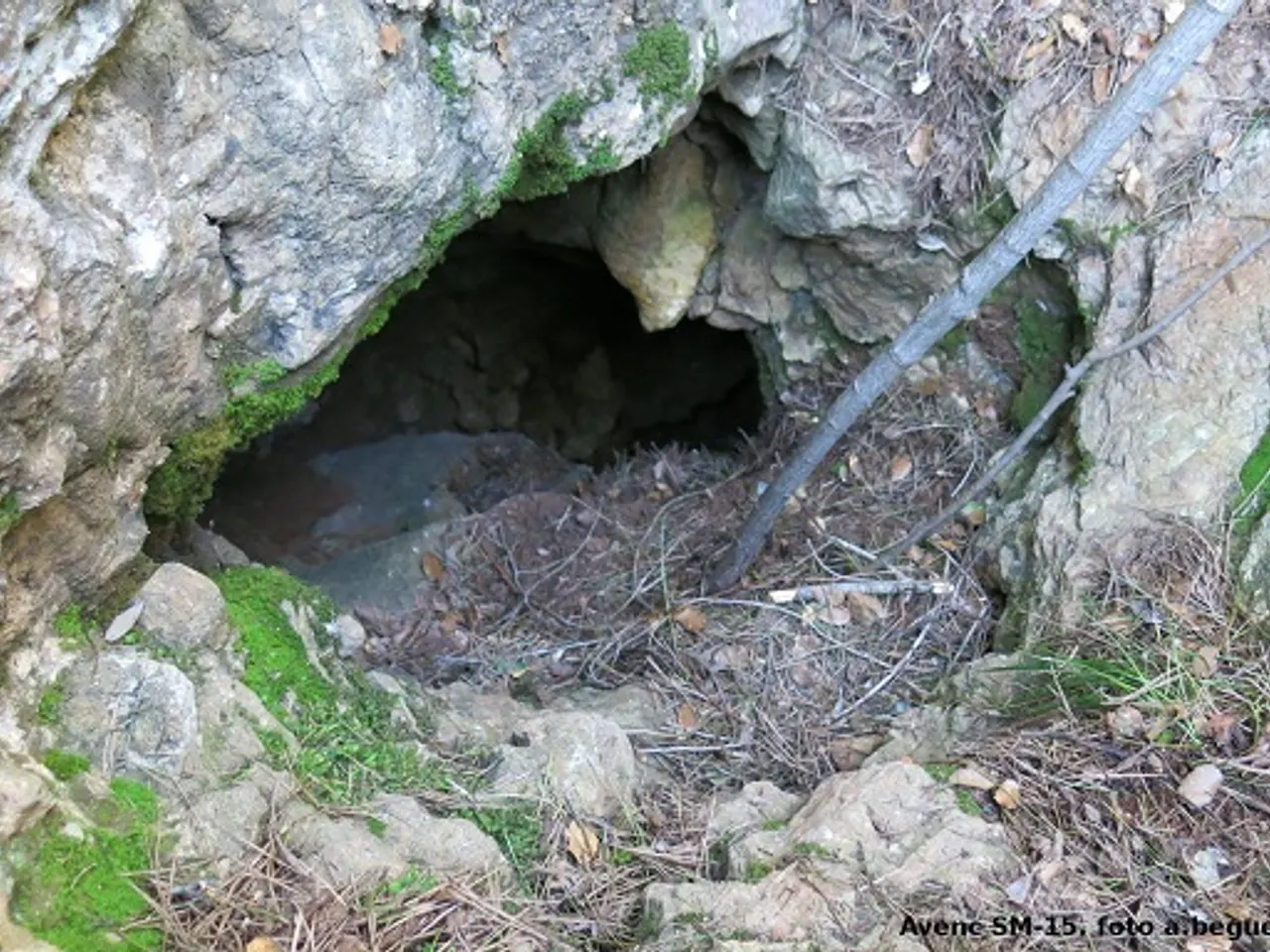 Fotografia de SERRA DEL MAS, AVENC SM-15 DE LA