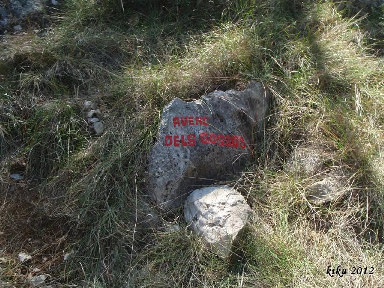 Fotografia de GOSSOS, AVENC DELS