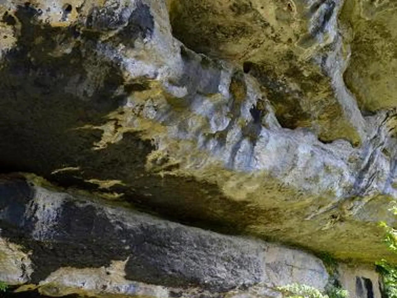 Fotografia de FLEUS, BALMA DE LES
