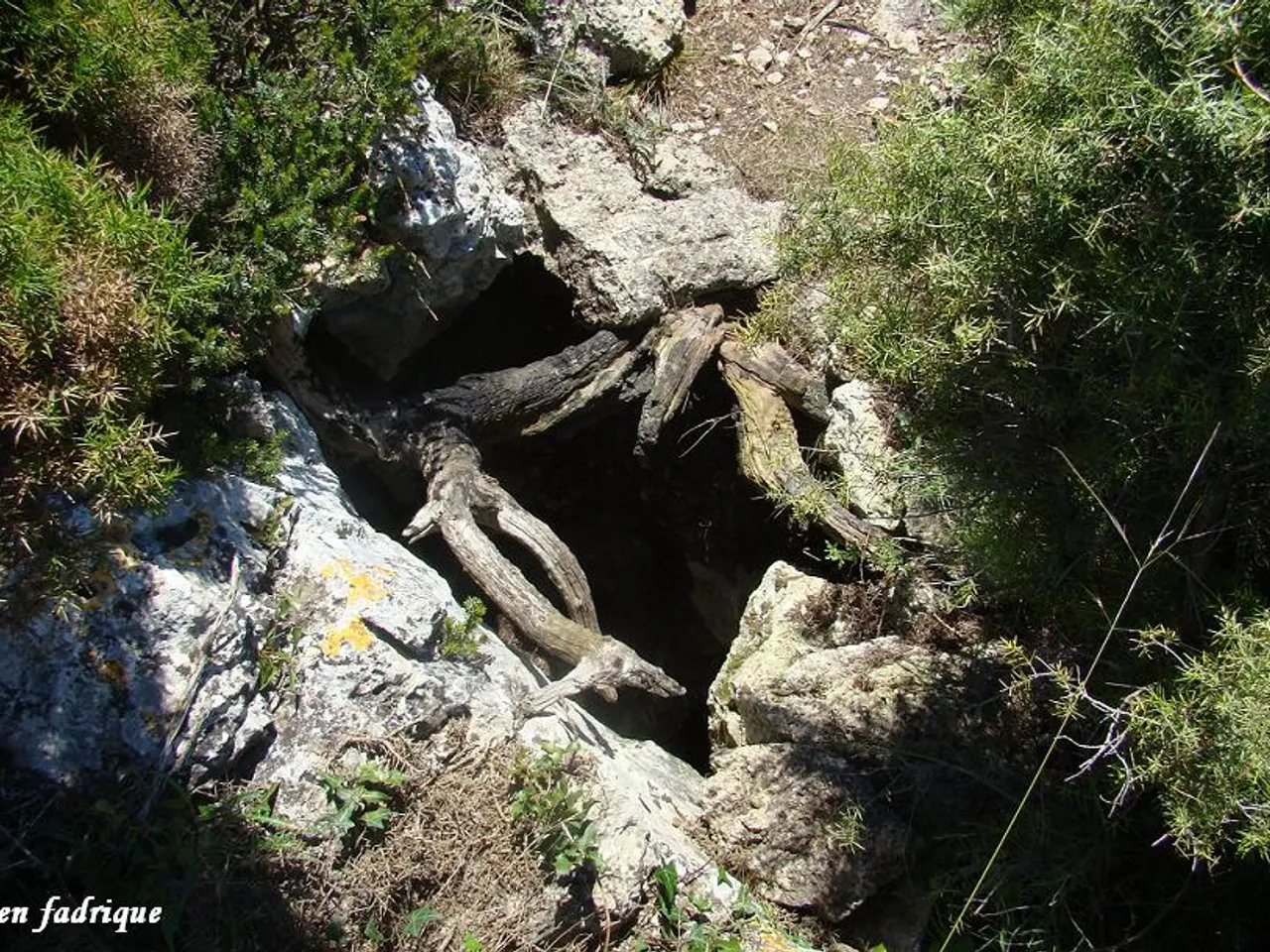 Fotografia de CABRA, AVENC DE LA