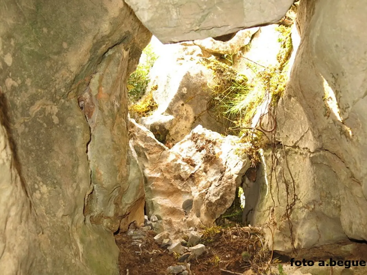 Photographie de JOSEP ESTRADA, AVENC
