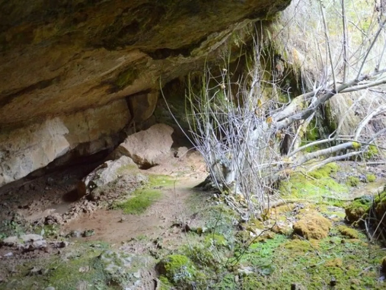 Fotografia de FONT D'EN PERE COSTA, BALMA DE LA