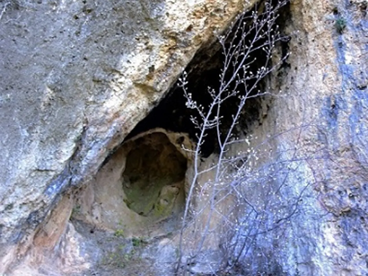 Fotografia de JOAN OLIVÉ, COVA D'EN