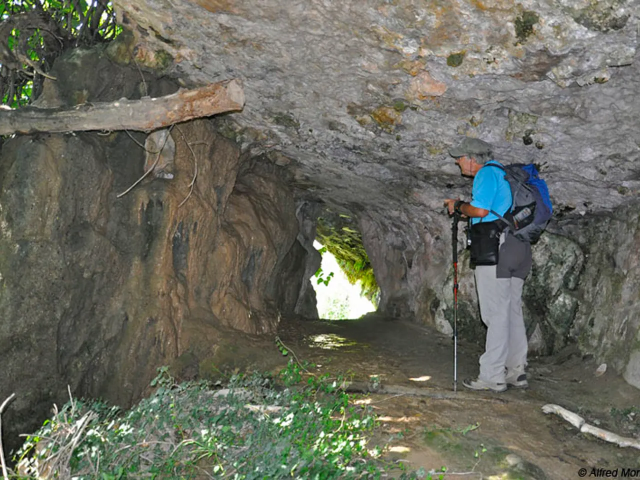 Fotografia de MICÓ, FORAT