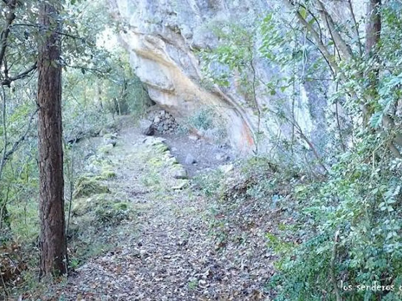 Fotografía de ROQUERO, COVA DEL