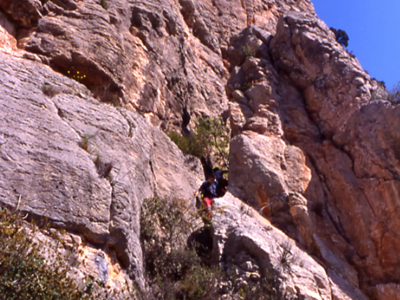 Fotografia de ARCADA, COVA DE L'
