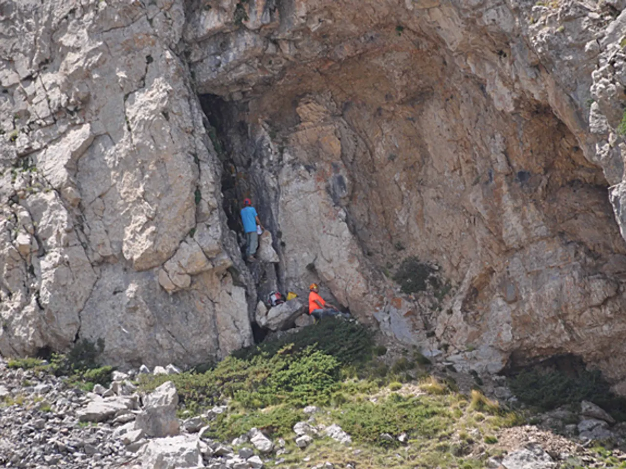 Photograph of BAUMA PETITA, ESQUERDA DE LA
