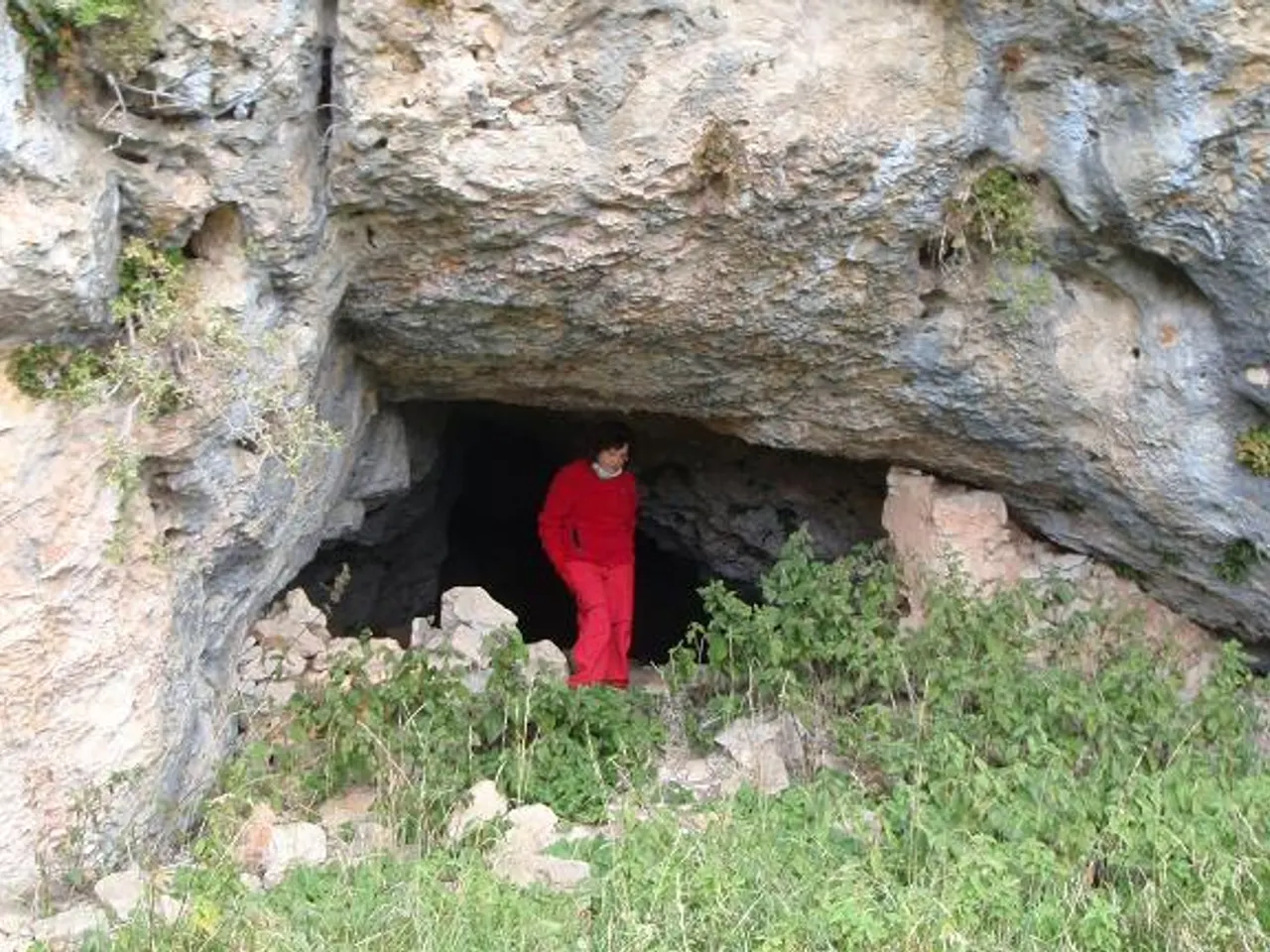 Fotografía de CELLER DEL FUSTER,  COVA AVENC DEL