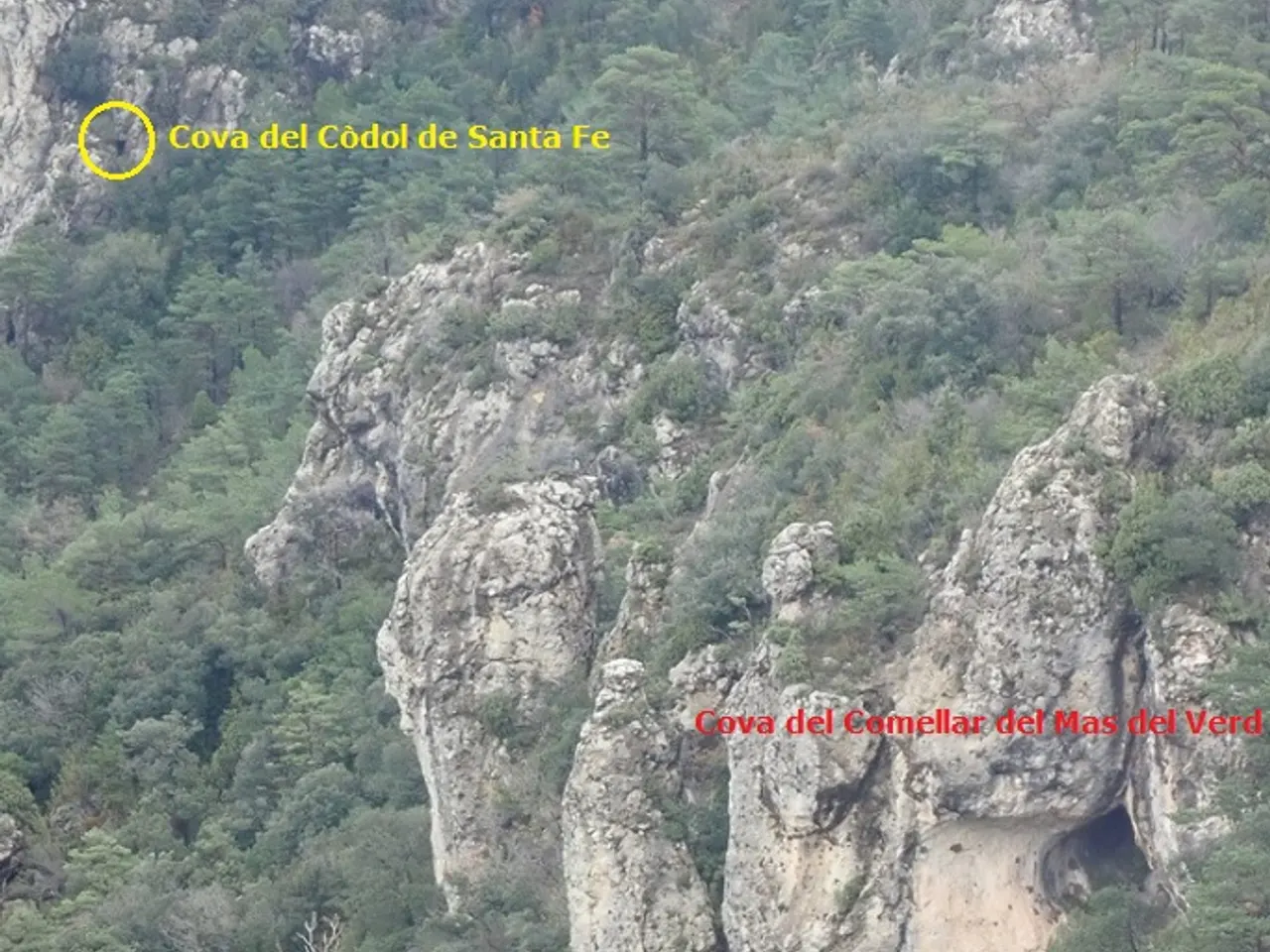 Fotografía de CÒDOL DE SANTA FE, COVA DEL