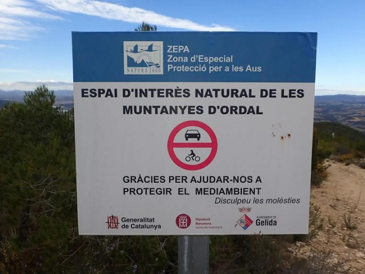 Fotografia de CABRA, COVA DE LA