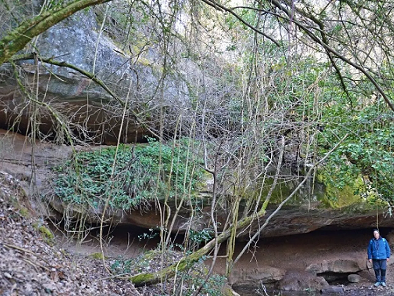 Photograph of FONT DEL GO, BALMA DE LA