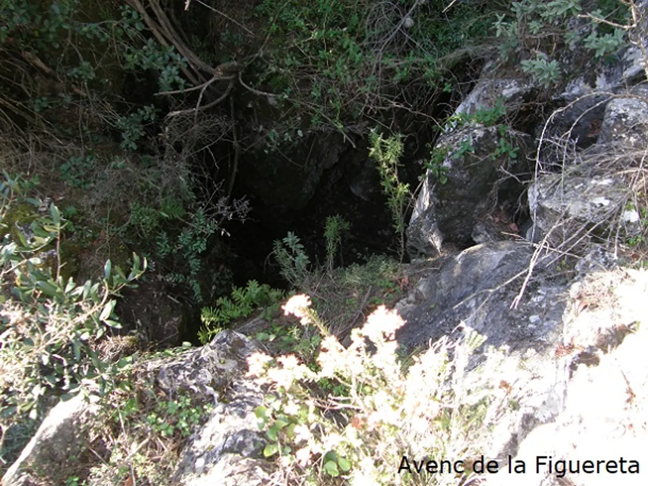 Photographie de ARRELS-CLONC, SISTEMA