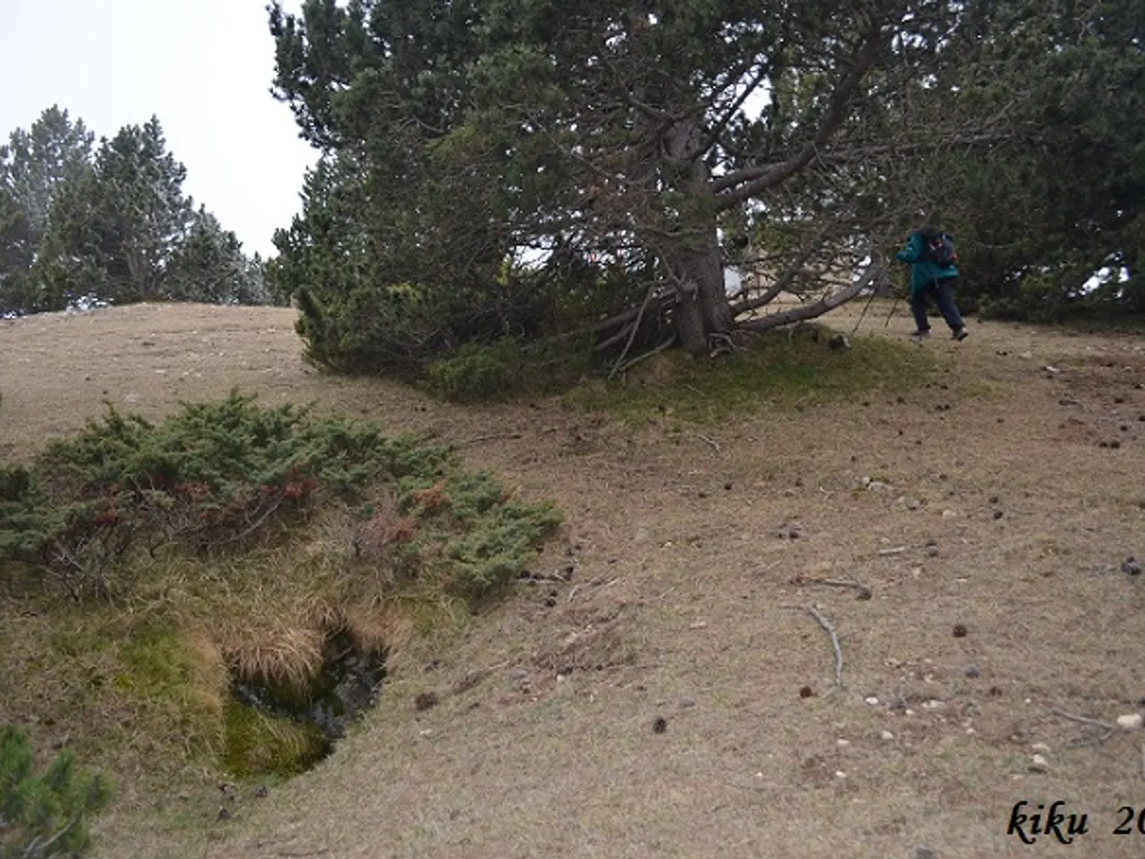 Fotografía de TORROTA, AVENC DE LA