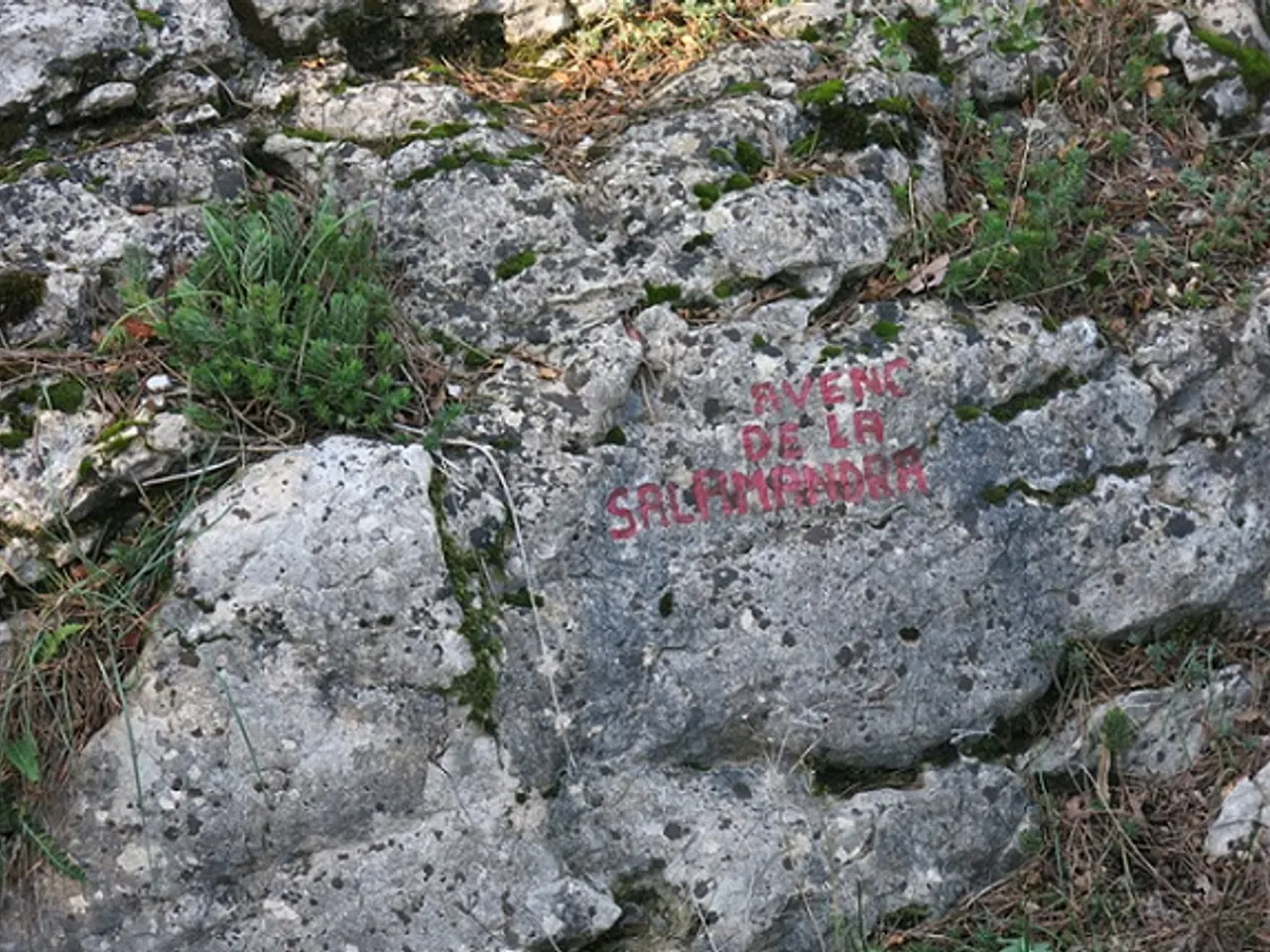 Photograph of SALAMANDRA, AVENC DE LA