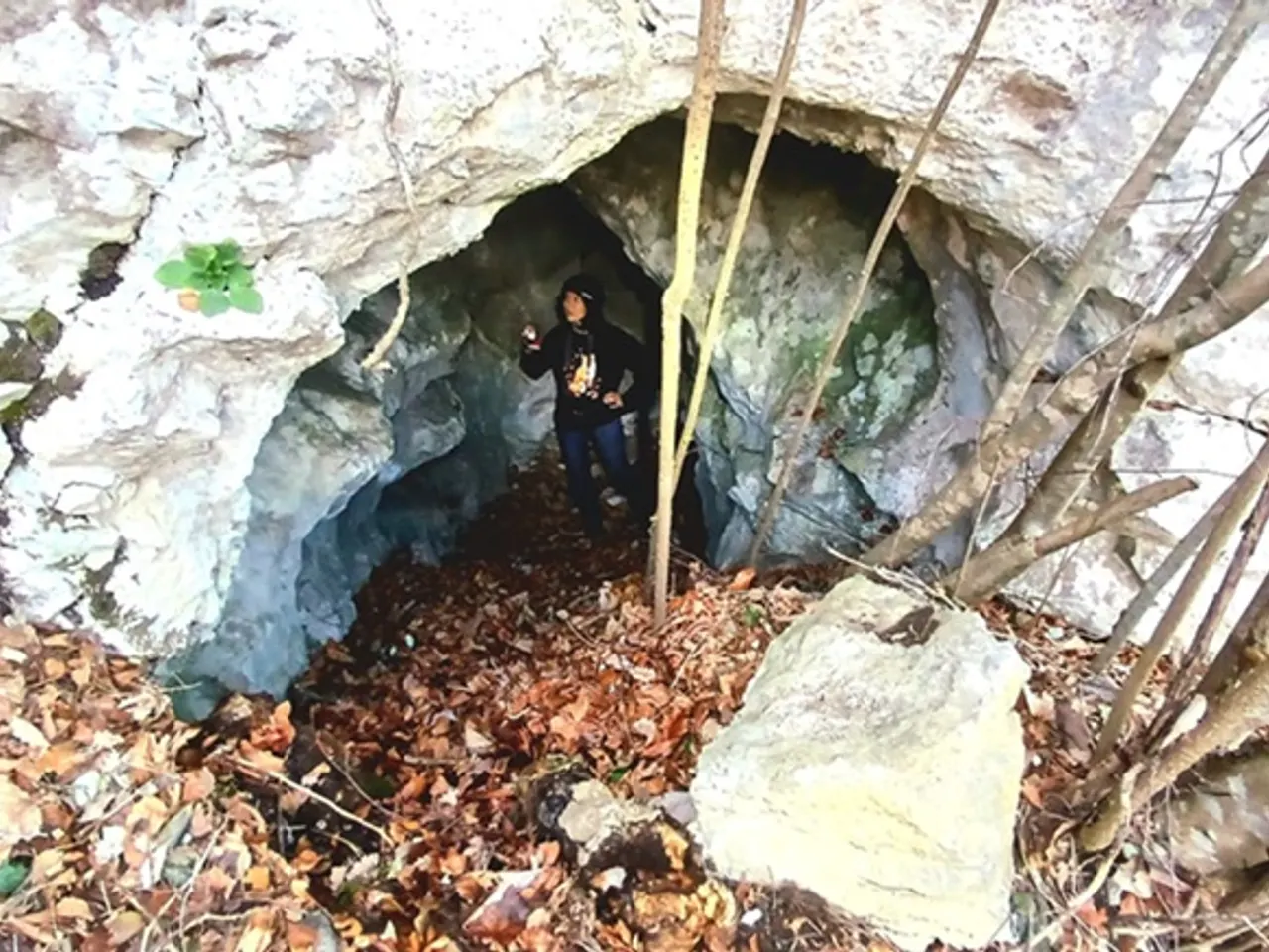 Fotografia de SUST, COVA DEL