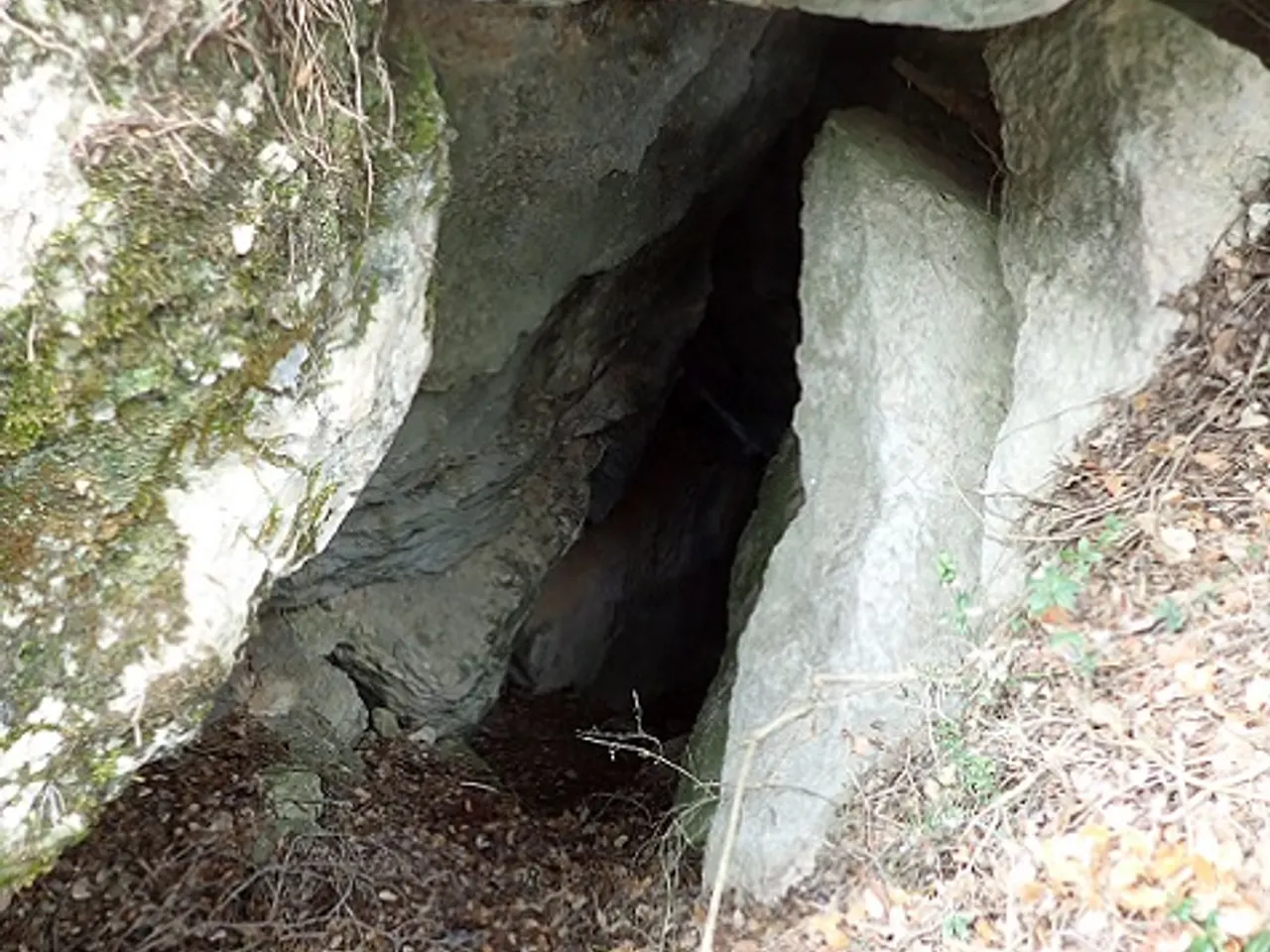 Fotografia de TOSSAL DE CANTACORBS, COVA