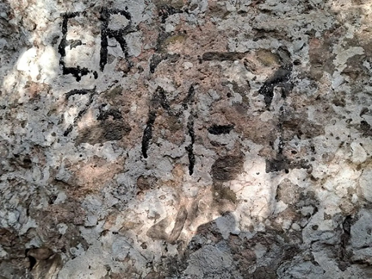 Photograph of MOSQUITS, COVA DELS