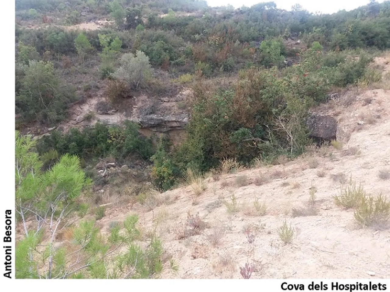 Fotografía de HOSPITALETS, COVA DELS