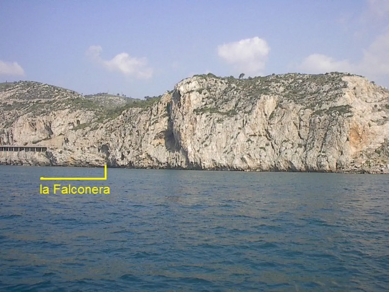 Fotografía de FALCONERA, LA