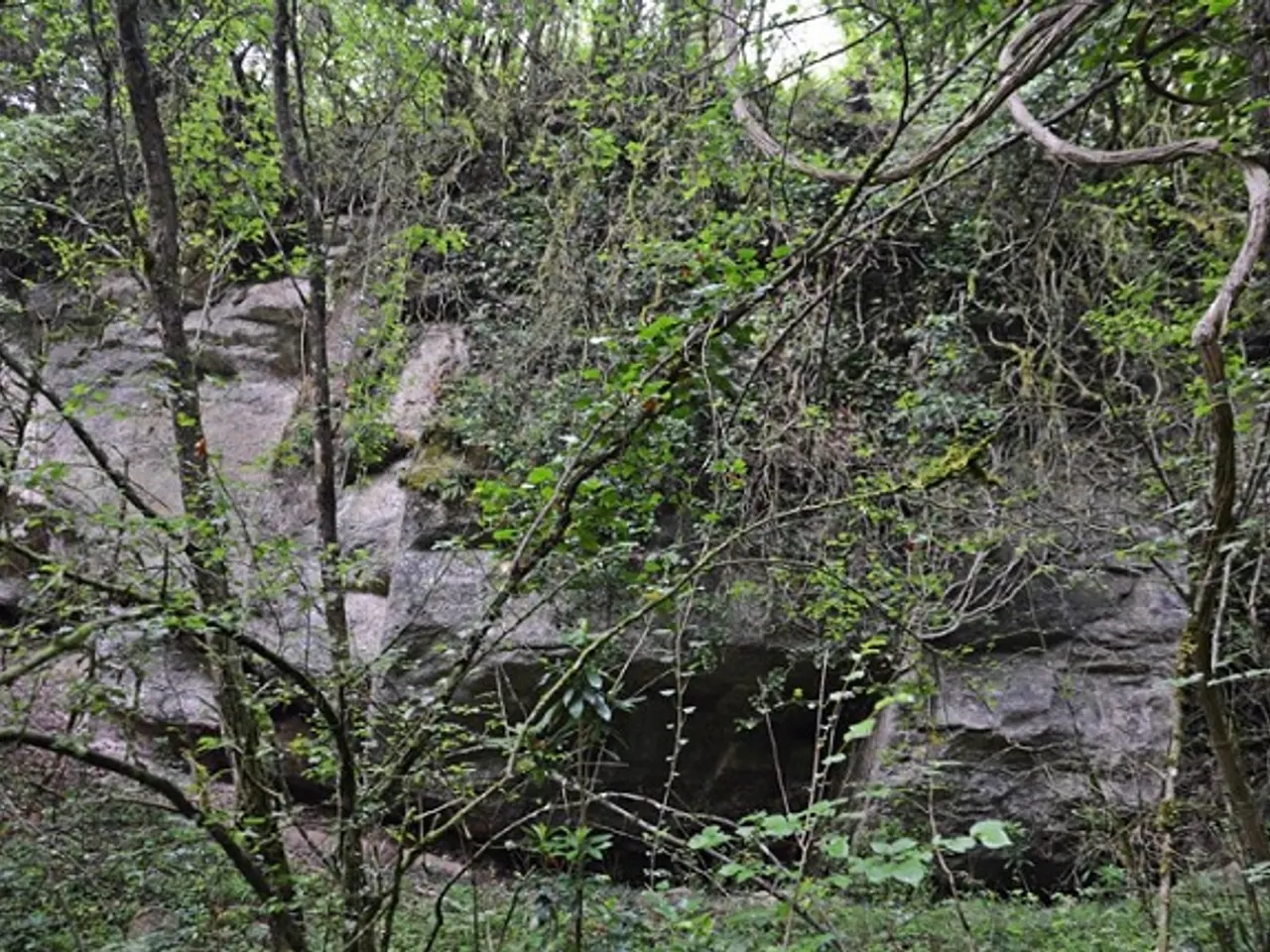 Photograph of COLL TRIADOR, BALMA DEL
