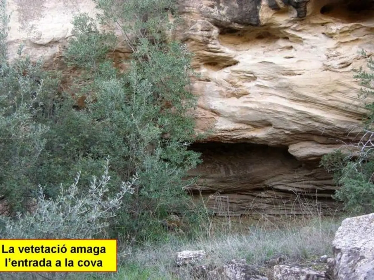 Fotografia de XINTES, COVA DE LES