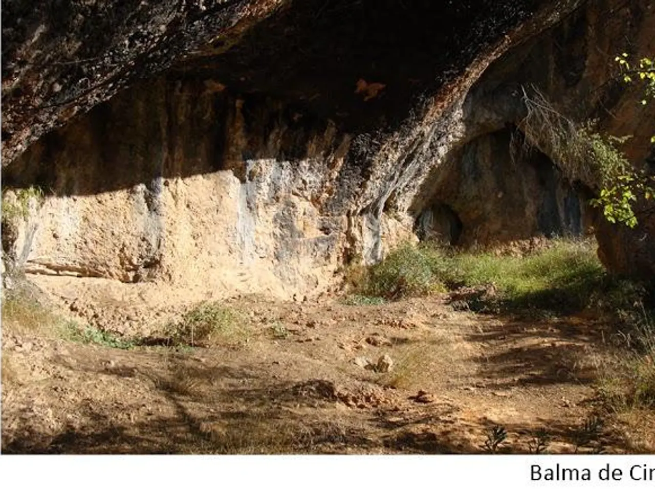 Fotografia de CINTS, BALMA DE
