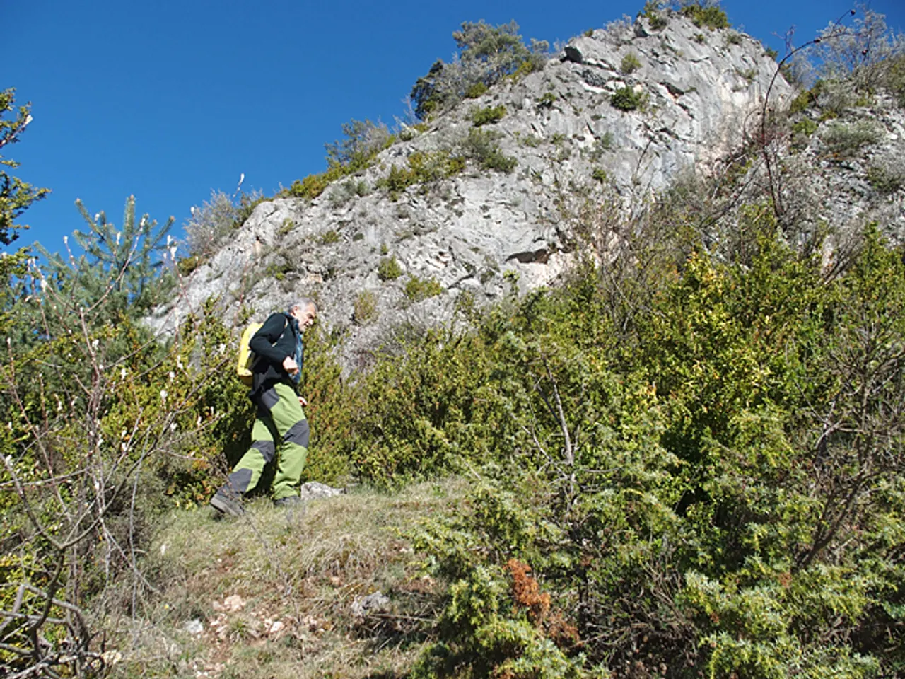 Fotografia de RIU, COVETES DE