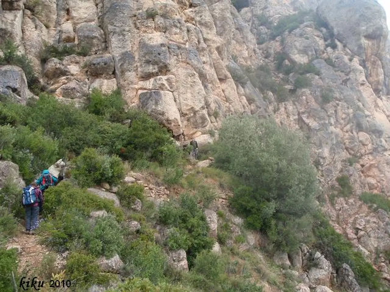 Photographie de FREDA, COVA