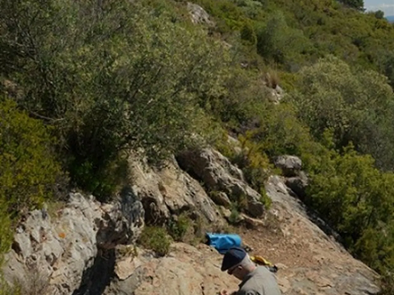 Fotografia de FONT DEL CASTELLOT, COVA DE LA
