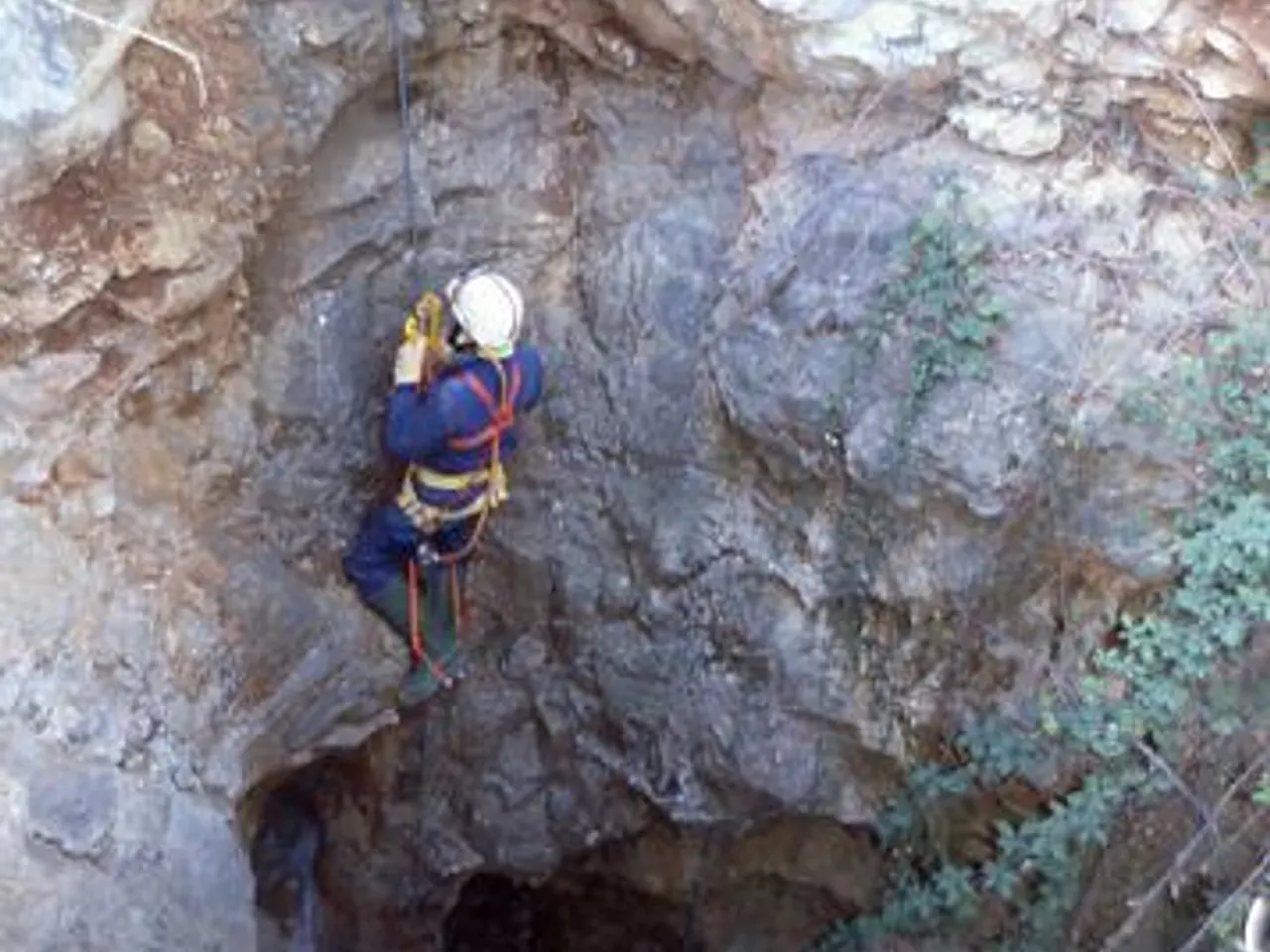 Photograph of COLLA DEL PINXO, AVENC DE LA