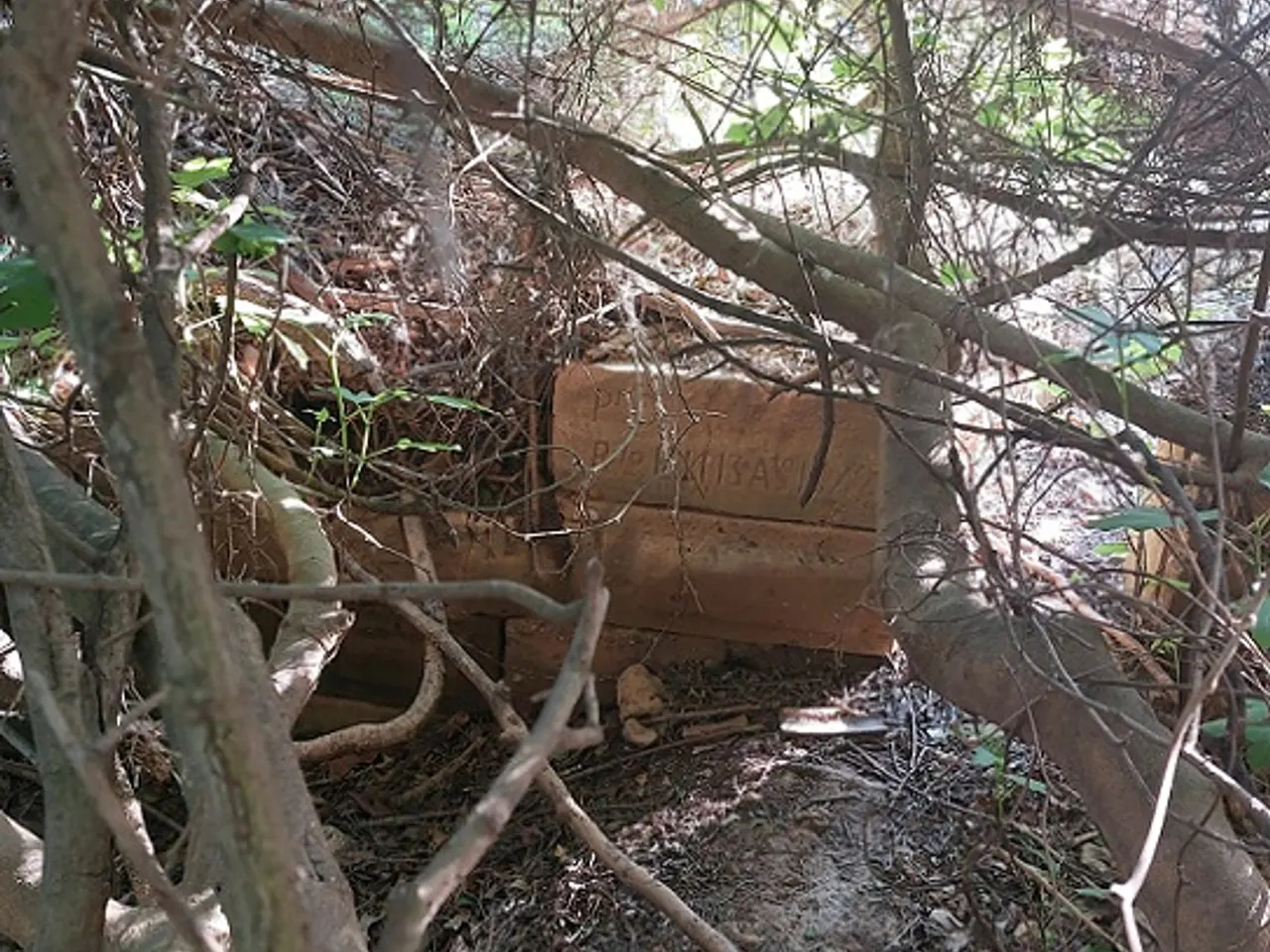Fotografia de ULLALS DE LA CARROVA, COVA DELS