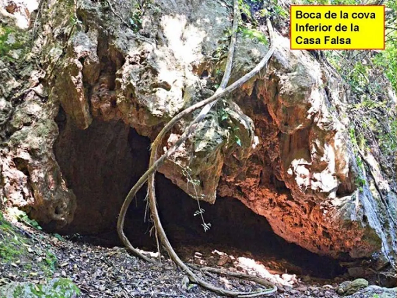 Fotografia de CASA FALSA, COVA INFERIOR DE LA