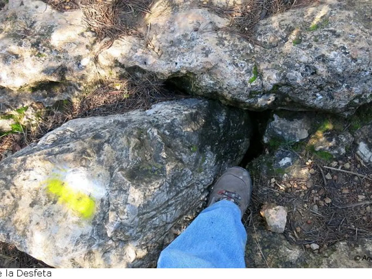 Fotografia de DESFETA, AVENCS DE LA
