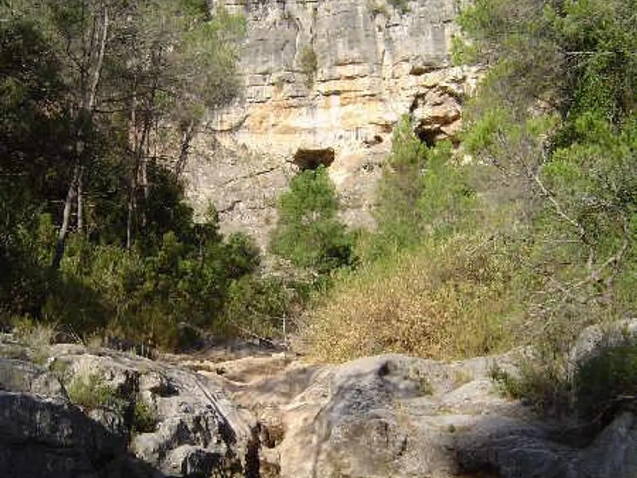Fotografia de BASSOT, COVA DEL