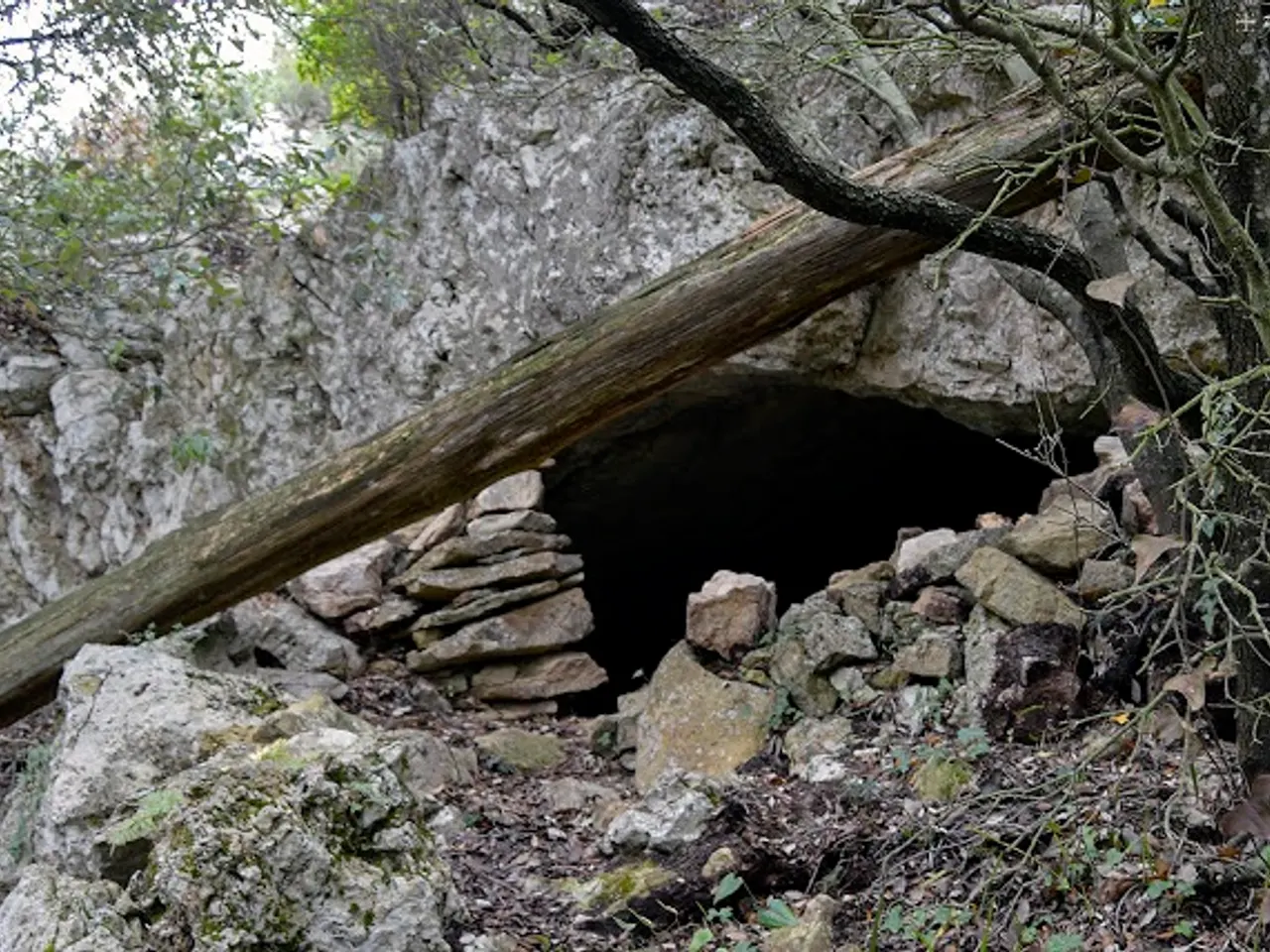 Fotografia de PIGOTOSA, COVA