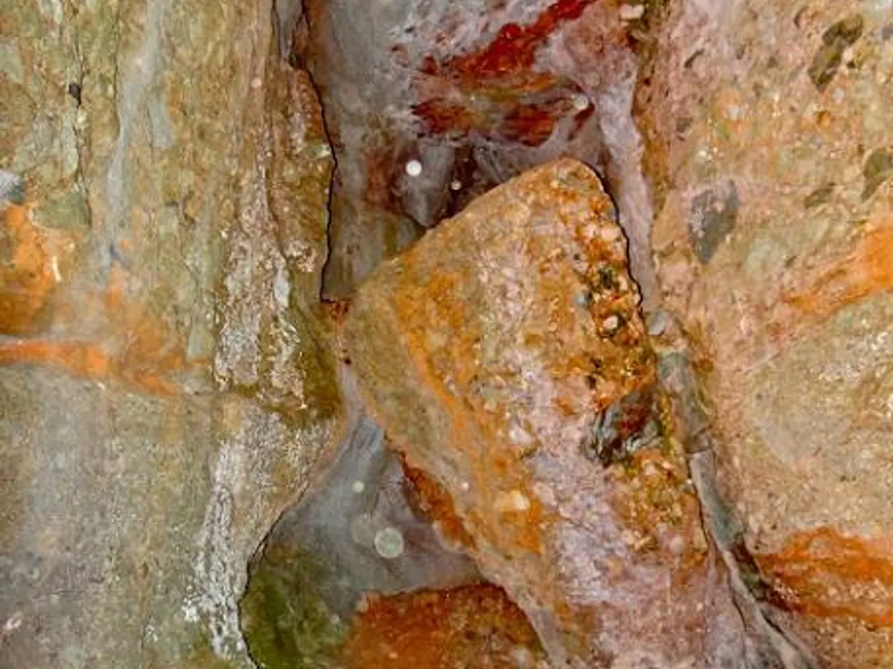 Photographie de MORTA, COVA