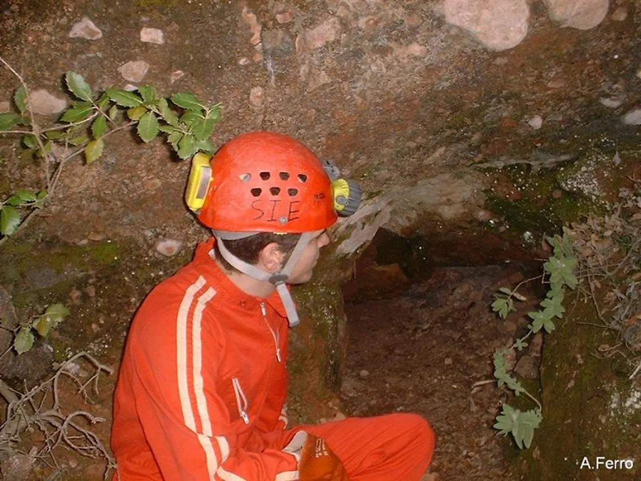 Fotografía de TOIXONS, COVA DELS