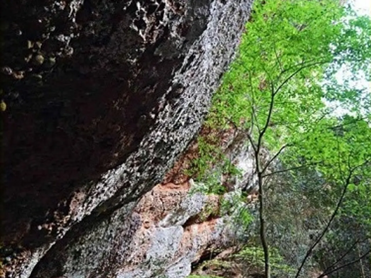 Photographie de MOLOSA, BALMA