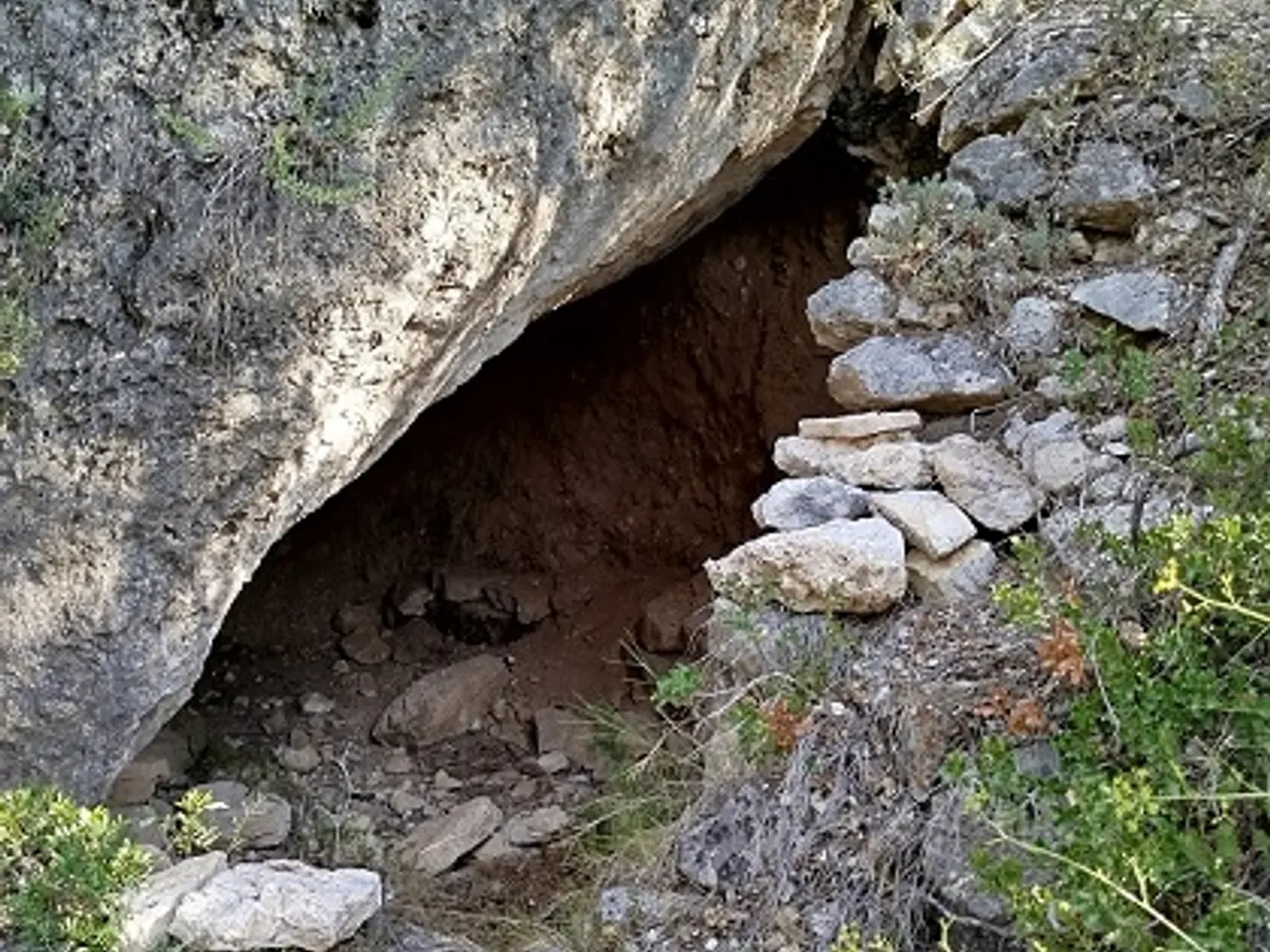 Photographie de CAMÍ DE LA RIBA, COVA DEL