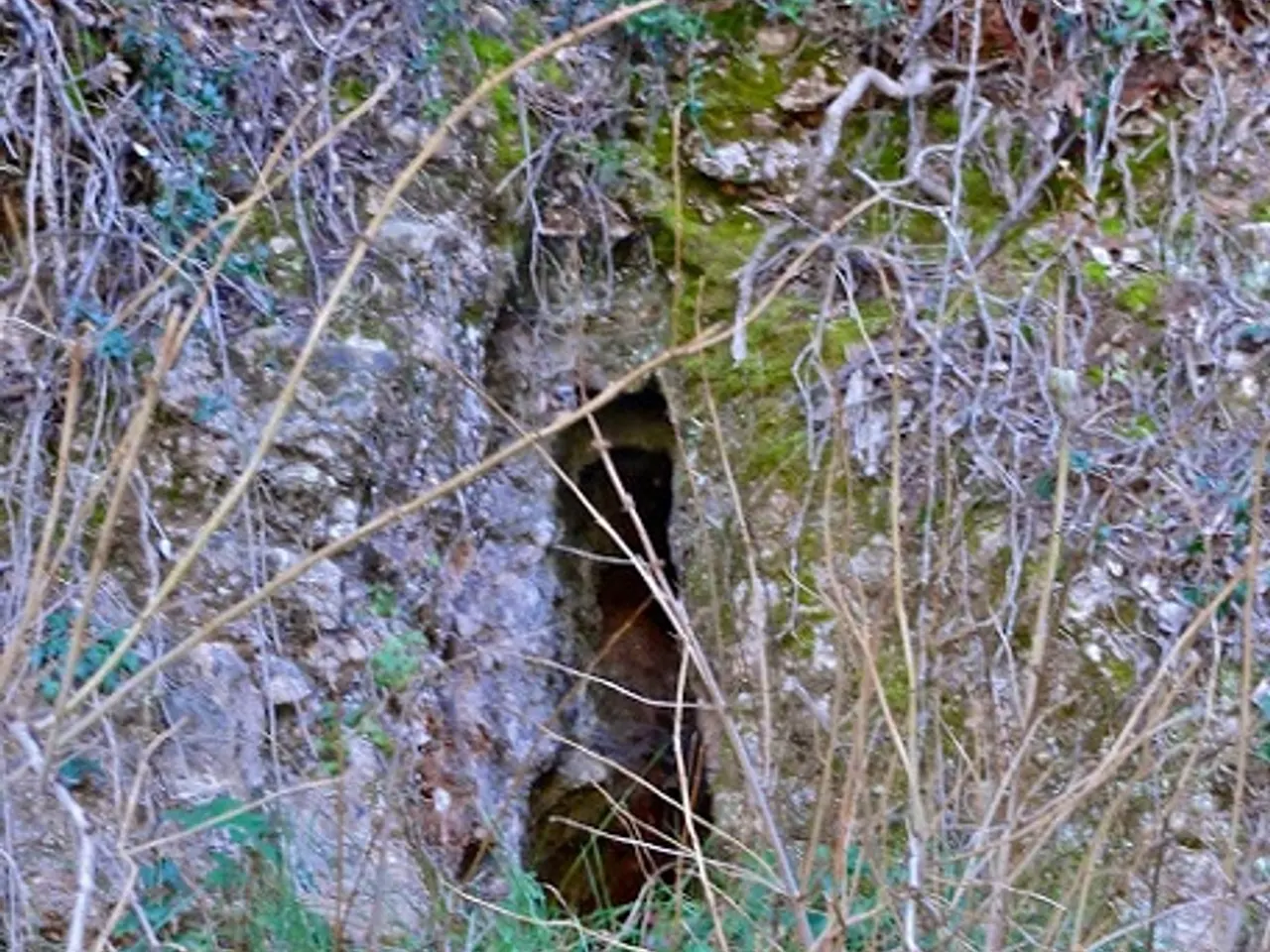 Fotografía de TOIXÓ, COVA DEL